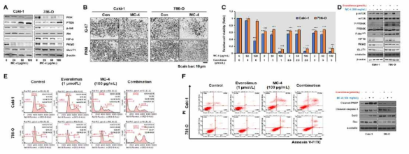 PKM2 inhibitor와 everolimus의 단독 또는 병용처리가 세포사에 미치는 영향 분석