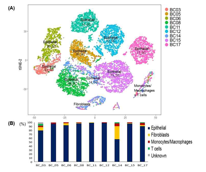 유방암 10X genomics Fluidigm데이터 분석 결과 (A) 9명 환자 데이터를 통합한 tSNE plot 각 색은 각 세포가 기인한 환자를 나타냄.(B) 9건의 환자데이터를 구성하는 세포의 비율