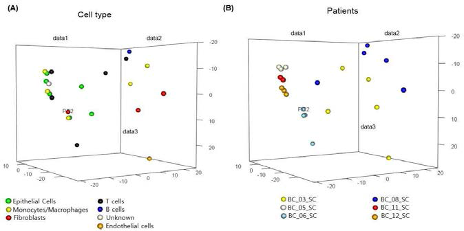 세포특이적 Reference Data의 tSNE plot (A) 세포종 및 (B) 기인한 환자 로 나타냄