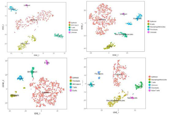 4명의 대장암에서 유래한 10X genomics Fluidigm 데이터 분석 결과. tSNE plot 내의 색은 각기 다른 세포종을 나타냄