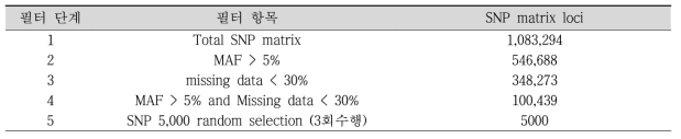 SNP filter 과정에 따른 SNP matrix loci