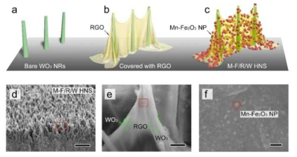 Fe2O3:Mn/RGO/WO3:Fe nanostructure의 모식도와 SEM