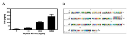 Peptide #8의 농도에 따른 IFNγ 분비 (A) 및 PAL 단백의 CD8+ T cell epitope 위치 (B)