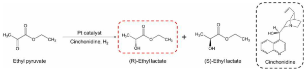 키랄 개질제로 cinchonidine을 사용한 ethyl pyruvate의 비대칭 수소화 반응