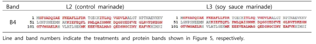 Matched peptide sequences (bold red) in identified salt-soluble proteins from soy sauce-marinated pork loins