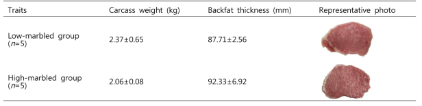 Carcass weight and backfat thickness of selected loin muscles with different marbling levels