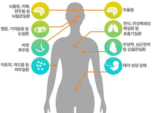 미세먼지 영향을 받는 인체기관 및 질환