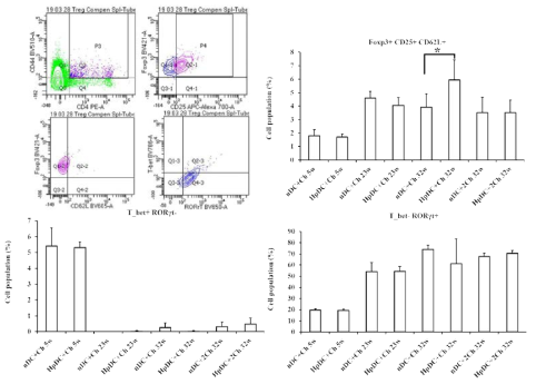 H. pylori 감작 수지상 세포에 의한 면역전달 후 H. pylori 공격접종에 대한 마우스 면역반응 (유세포 측정 분석)
