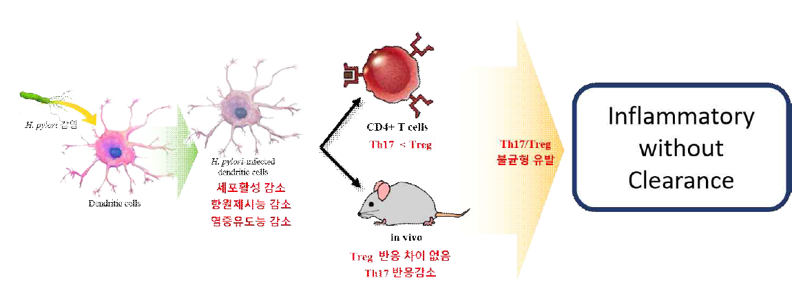 종합결론