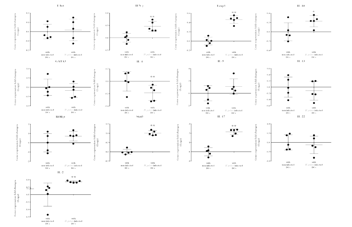 H. pylori에 감염된 수지상 세포와 공생배양에 의한 CD4+ T 세포의 면역활성 관련 유전자 발현 변화