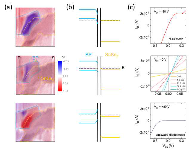 (a) 광전류 맵핑 이미지. (b) 이종접합 계면에서의 간단한 밴드 구조. (c) Ids-Vds 그래프 및 광전류 데이터. 이 때, 위, 중간, 아래는 각각 Vgs = -80, 0, +80 V 일 때의 데이터를 의미함