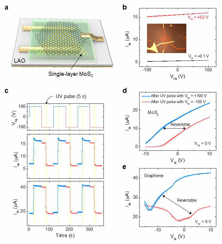 LAO 기판에 형성된 MoS2(혹은 그래핀) 소자의 (a) 모식도와 (b) 바틈 게이트 의존성 (소자 광학 이미지) (c) 바틈 게이트 전압과 UV (375nm) 조사로 인해 상태가 바뀌는 MoS2 (중간)와 그래핀 소자. (d) 바틈 게이트 +100 V와 UV 조사, -100 V와 UV 조사를 반복하여, 소자의 상태를 반복적으로 변화시킬 수 있음을 보여주는 (d) MoS2/LAO 소자와 (e) Gr/LAO 소자의 전달 곡선