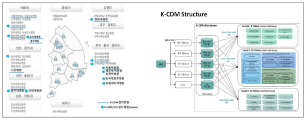 병원 EMR 공통 데이터 모델 (CDM) 개발과 표준화 현황 및 구조 도식화