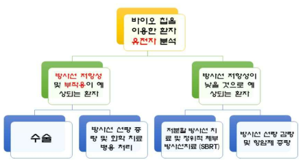 바이오칩을 이용한 방사선 치료 프로토콜