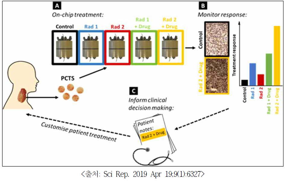 바이오칩을 이용한 환자 맞춤형 방사선 항암 치료