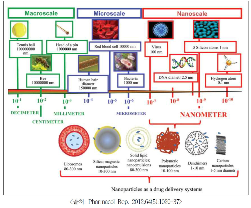 나노 약물 전달체의 종류
