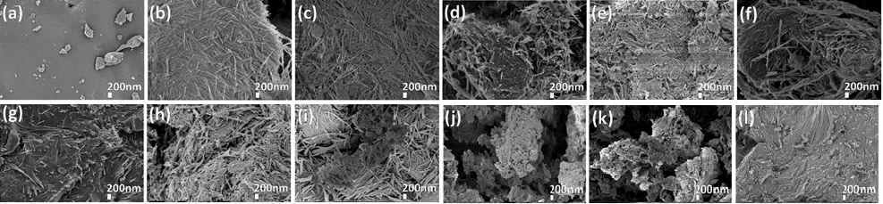 리그닌 기반 탄소/Sep 하이브리드 소재 및 그 전구체들의 SEM 사진들 (a) L C8, (b) S C7, (c) S C8, (d) L2S1M, (e) L2S1S, (f) L2S1M St2, (g) L2S1S St2, (h) L2S1M C7, (i) L2S1M C8, (j) L2S1S C7, (k) L2S1S C8, and (l) L5S1S C8
