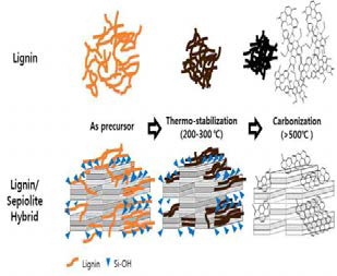 리그닌 기반 탄소/세피올라이트 하이브리드 소재의 sp2 탄소 형성 증가에 대해 제안된 도식