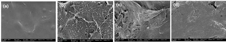 제조된 PLA 복합재료의 파단면 SEM 사진. (a) PLA, (b) PLA L2S1MC7 0.5wt%,(c) PLA SC7 0.5wt% , and (d) PLA LC7 0.5wt%