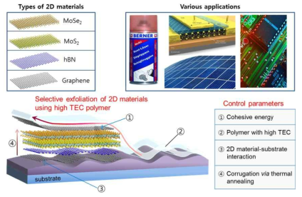 기존에 예측했던 고분자의 높은 열팽창계수(TEC)를 이용한 이차원 초격자체의 박리 및 응용