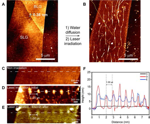 박리된 그래핀에 형성된 나노채널의 AFM 이미지. (A) 소수성 기판에 박리된 그래핀, (B) 라만 맵핑을 통해 형성된 그래핀 나노채널, (C-E) 레이저 조사 (C) 전, (D) 후, (E) 4달 후의 AFM 이미지, (F) C-E 점선의 위치에 따른 높이
