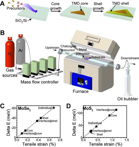 (A) 두 단계에 걸친 TMC 이종구조 성장 모식도, (B) CVD를 이용한 합성 모식도, (C) MoSe2, (D) MoS2의 코어/셀 위치에 따른 기판과의 결정 불일치가 형광에 끼치는 영
