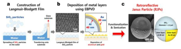 (a) Silica microparticle LB film 형성과정 (b) EVPVD법을 이용한 재귀반사입자 제조방법 (c) 제작된 재귀반사입자의 전자현미경 이미지 및 구조의 모식도