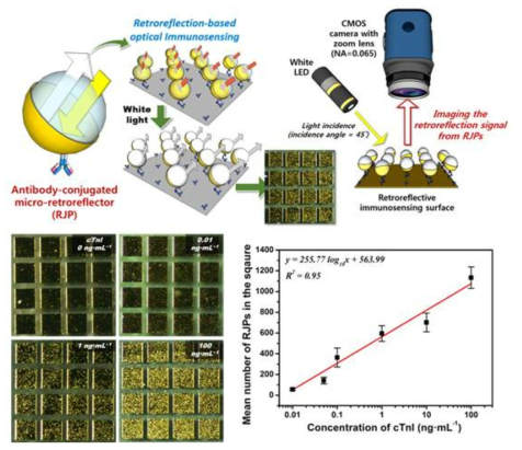 개발된 재귀반사기반 면역센싱의 모식도 및 그 결과