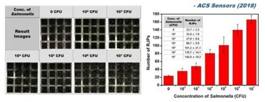 LAMP assay 기반의 재귀반사 시스템을 이용한 살모넬라균 정량분석 결과