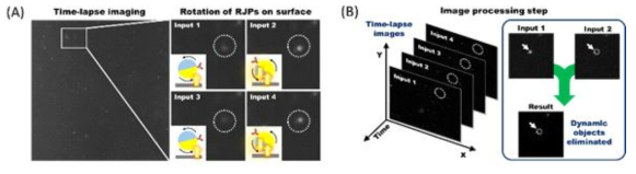 (A) Time-lapse image 수득과정 (B) 수득한 time-lapse image내의 동적픽셀 제거 원리