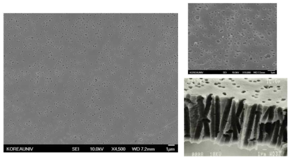 200 nm 나노다공성 폴리카보네이트 멤브레인의 주사전자현미경 평면도 및 단면도