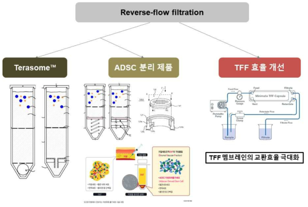 Terasome™ SPC의 특허 포트폴리오 전략