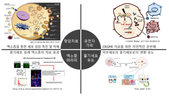 엑소좀 치료 적용이 가능한 유망 분야들