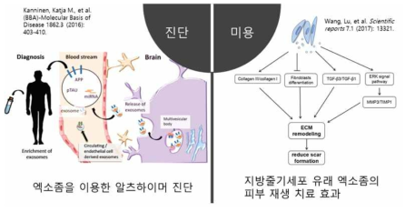 엑소좀을 이용한 진단 및 미용 분야