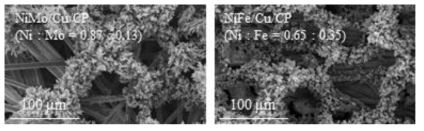 NiMo/Cu/CP와 NiFe/Cu/CP의 SEM 이미지