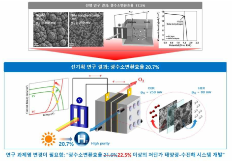 선기획 연구 결과에 대한 요약 모식도