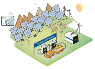 완전한 친환경적 수소 생산을 위한 태양광-수전해 시스템의 모식도. [Nat. Mater. 16 (2017) 646-651.]