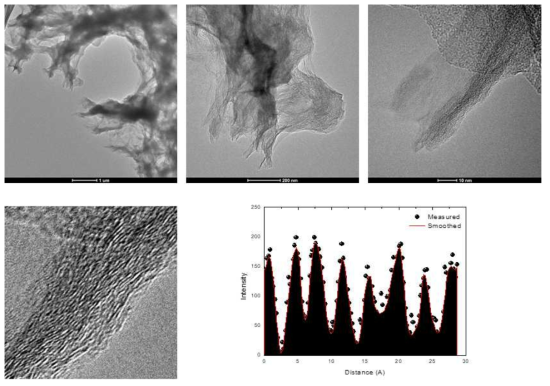 과열증발을 통해 형성된 다공성 탄소계 프레임의 전자투과현미경 (TEM) 이미지