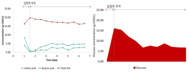 시간에 따른 유기산(VFA) 농도 및 당 농도 변화