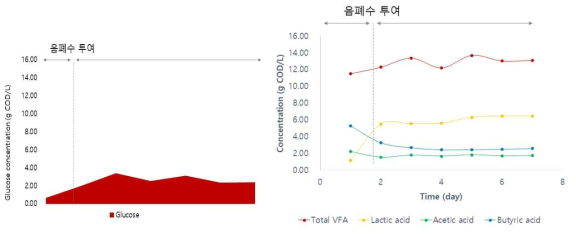 시간에 따른 유기산(VFA) 농도 및 당 농도 변화