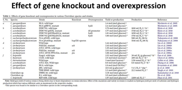 현재까지 알려진 재조합 Clostridium을 활용한 수소 생산 사례