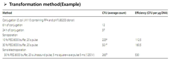 Clostridium transformation 방법에 따른 효율