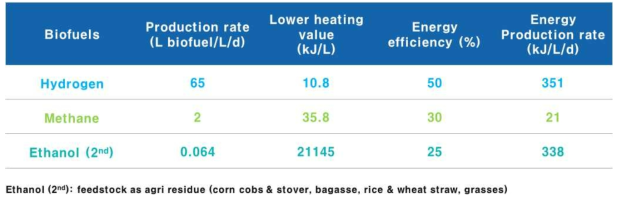 바이오에너지 종류별 에너지 생산 속도 평가