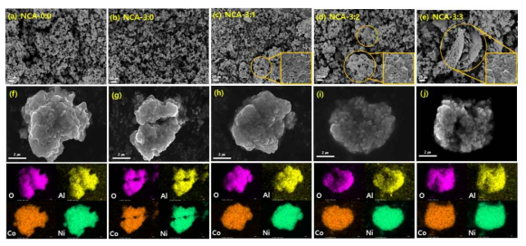 NCA의 SEM image 및 EDS mapping image