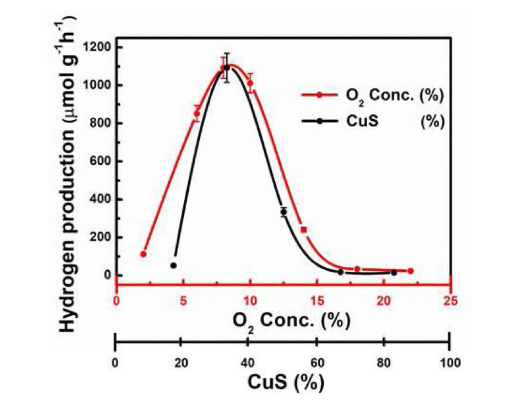 ZnO/CuO-Cu2O 복합구조 광촉매의 수소생산 속도