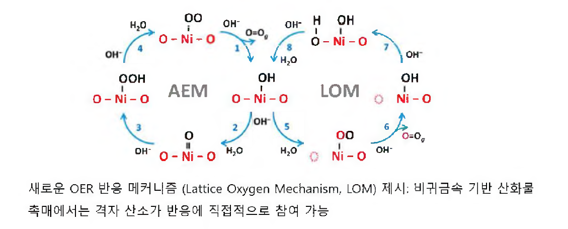 다양한 산소발생 반응 메커니즘