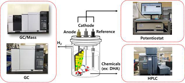 바이오연료 전기분해 반응장치 및 생성물(수소, 고부가 화학물질) 분석시스템 모식도