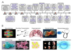 단일세포 분석 기술 (A) 시기별 주요 마일스톤 연구 (2) 단일세포분석 적용 분야
