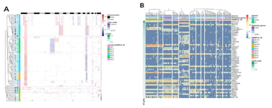 SIDR WGS/WTS 데이터를 이용한 단일세포 유전자 발현 분석 (A) 샘플별 복제수에 따른 비지도 군집화 (unsupervised clustering) (B) 유전자 발현 비지도 군집화에 기반한 유전자 발현차 분석