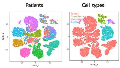 유방암 10x Genomics 데이터의 tSNE 분석